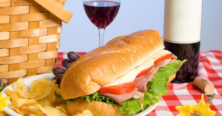picnic lunch in venice florida