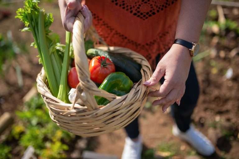 person holding brown woven basket with red and green vegetable