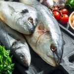 Why You Should Eat Different Types of Fish