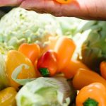A Person Holding Orange and Red Bell Pepper