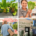farmers market lakewood ranch