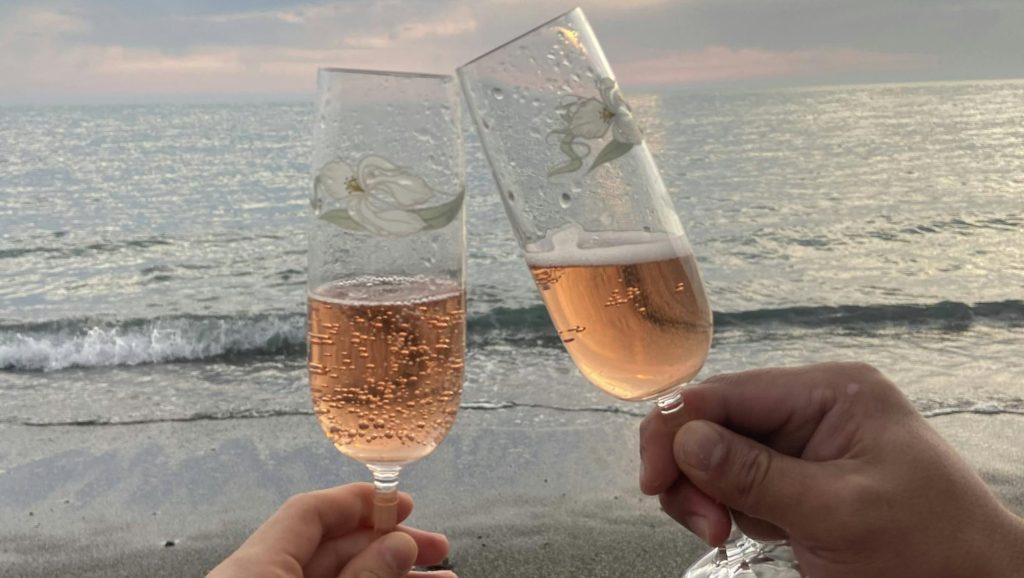 Couple clinking glasses of champagne on seashore
