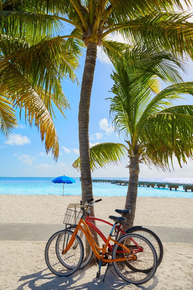 Two bikes are parked next to palm trees on a sandy beach. Behind them is the bright blue sea, a wooden pier, and a blue umbrella.