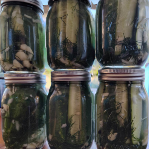 pickles venice florida