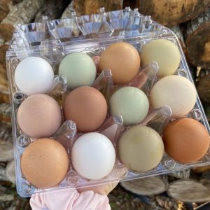 Fresh Eggs - Blackburn Pioneer Company