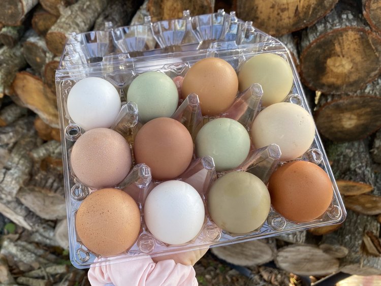 Fresh Eggs - Blackburn Pioneer Company