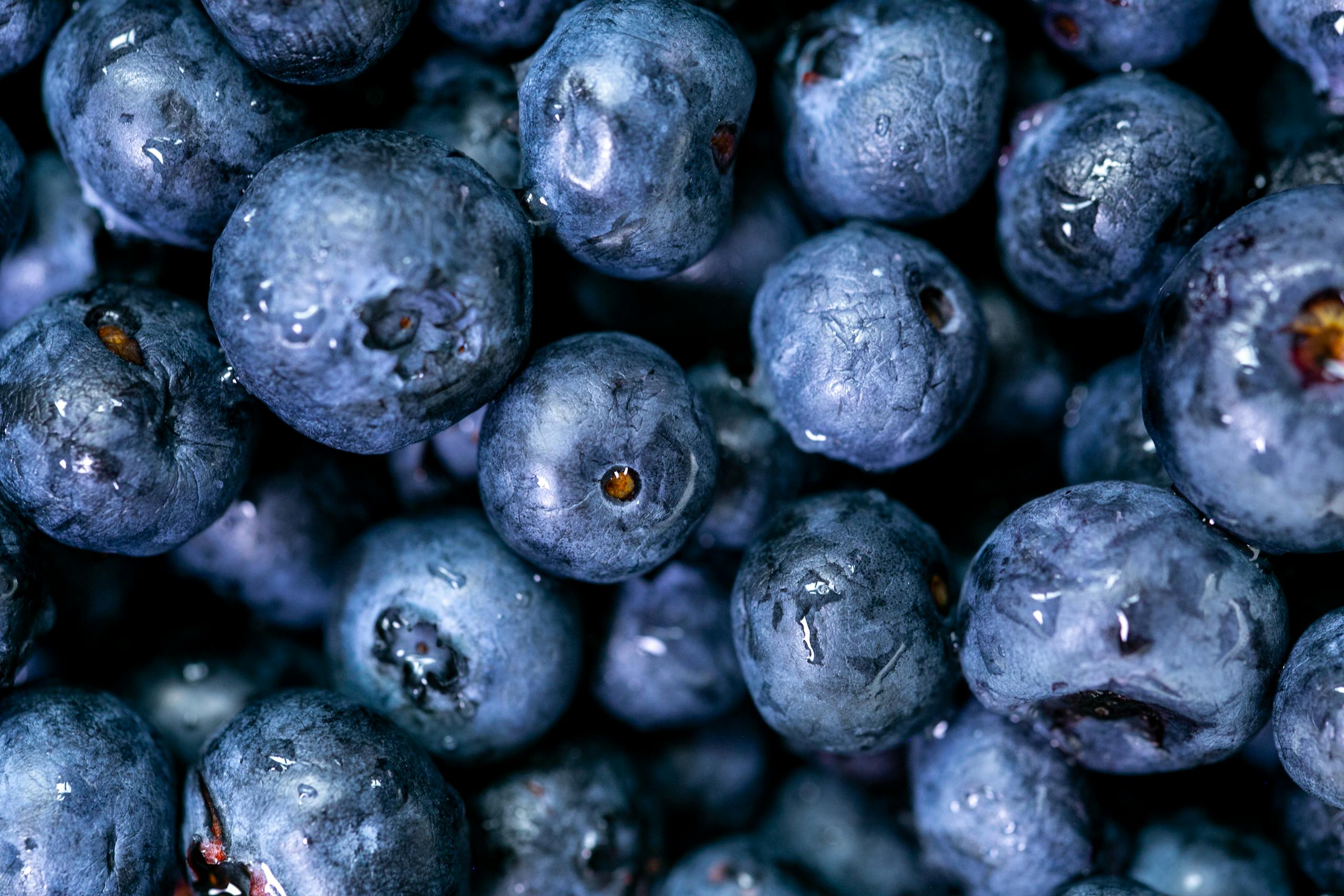 Jennings Road Farm: Blueberry Season in Myakka City